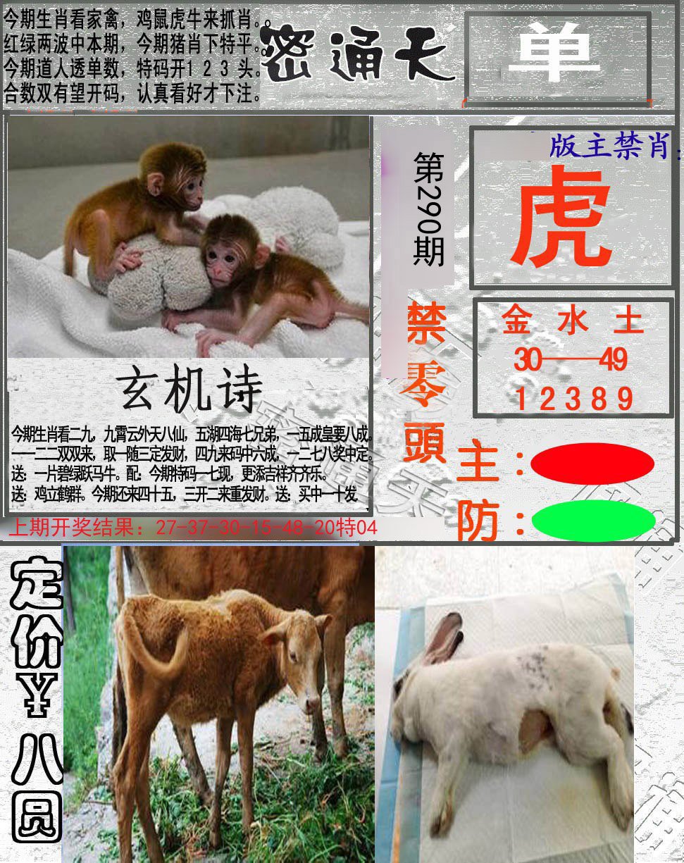 2024290期密通天