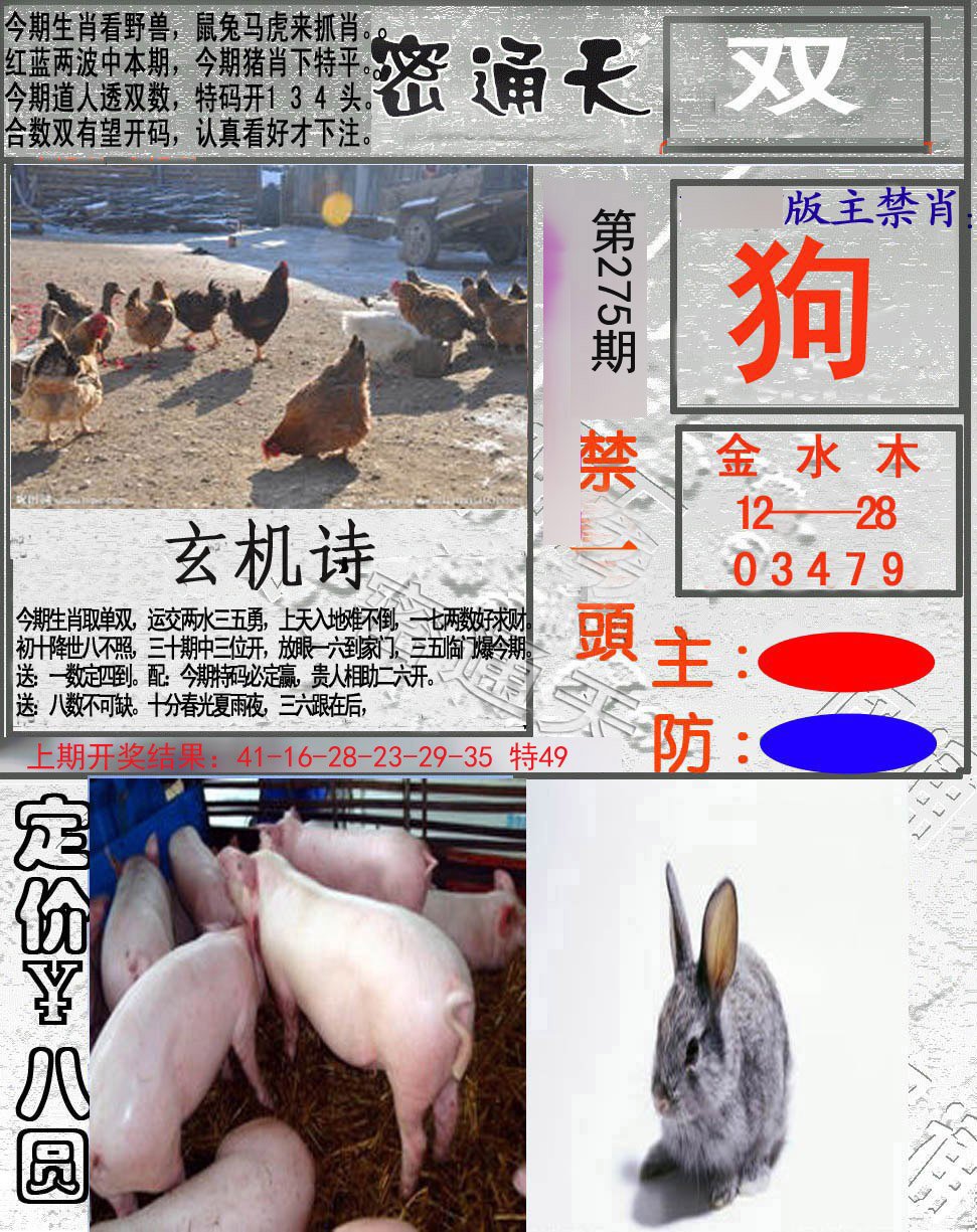 2024275期密通天