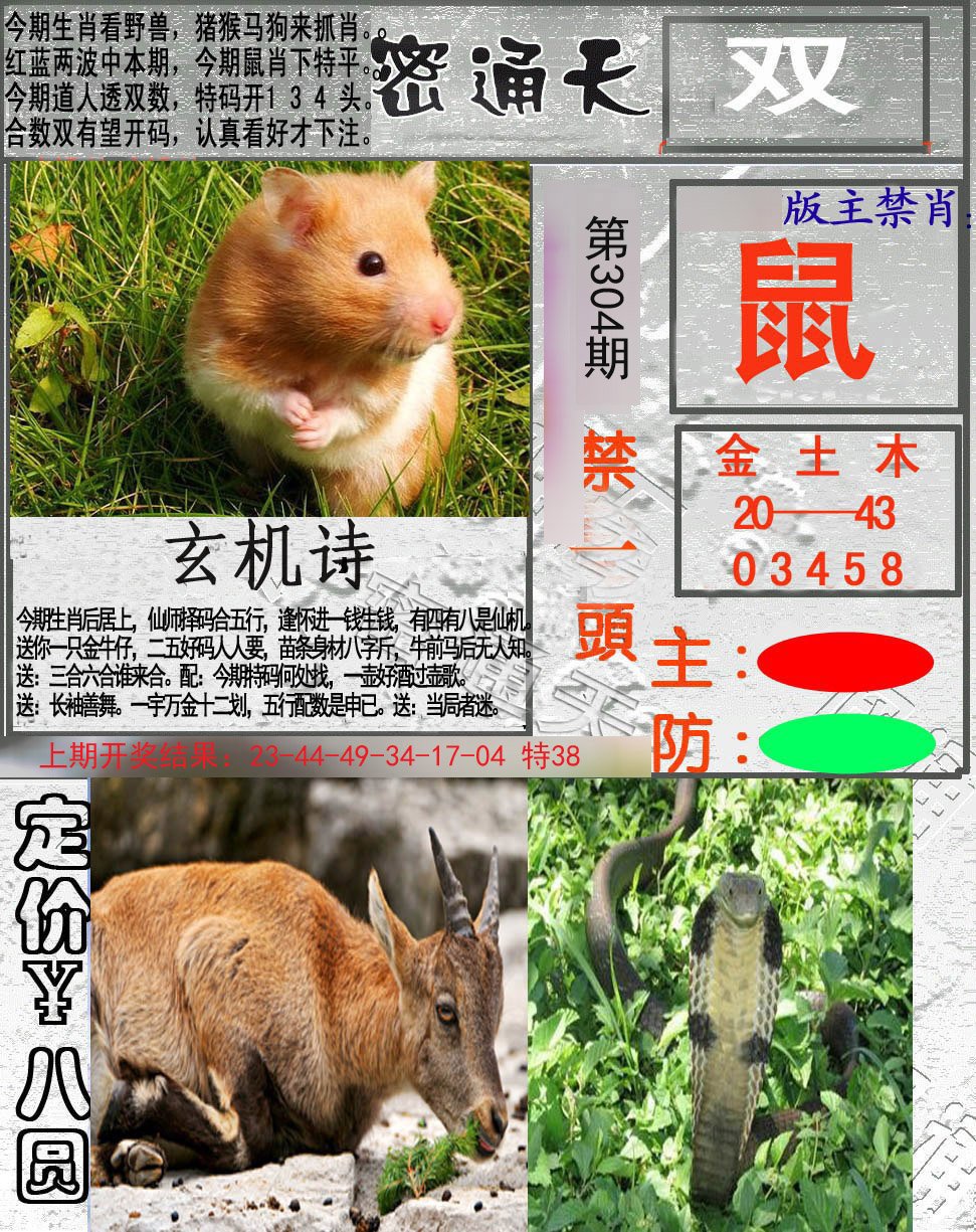 2024304期密通天