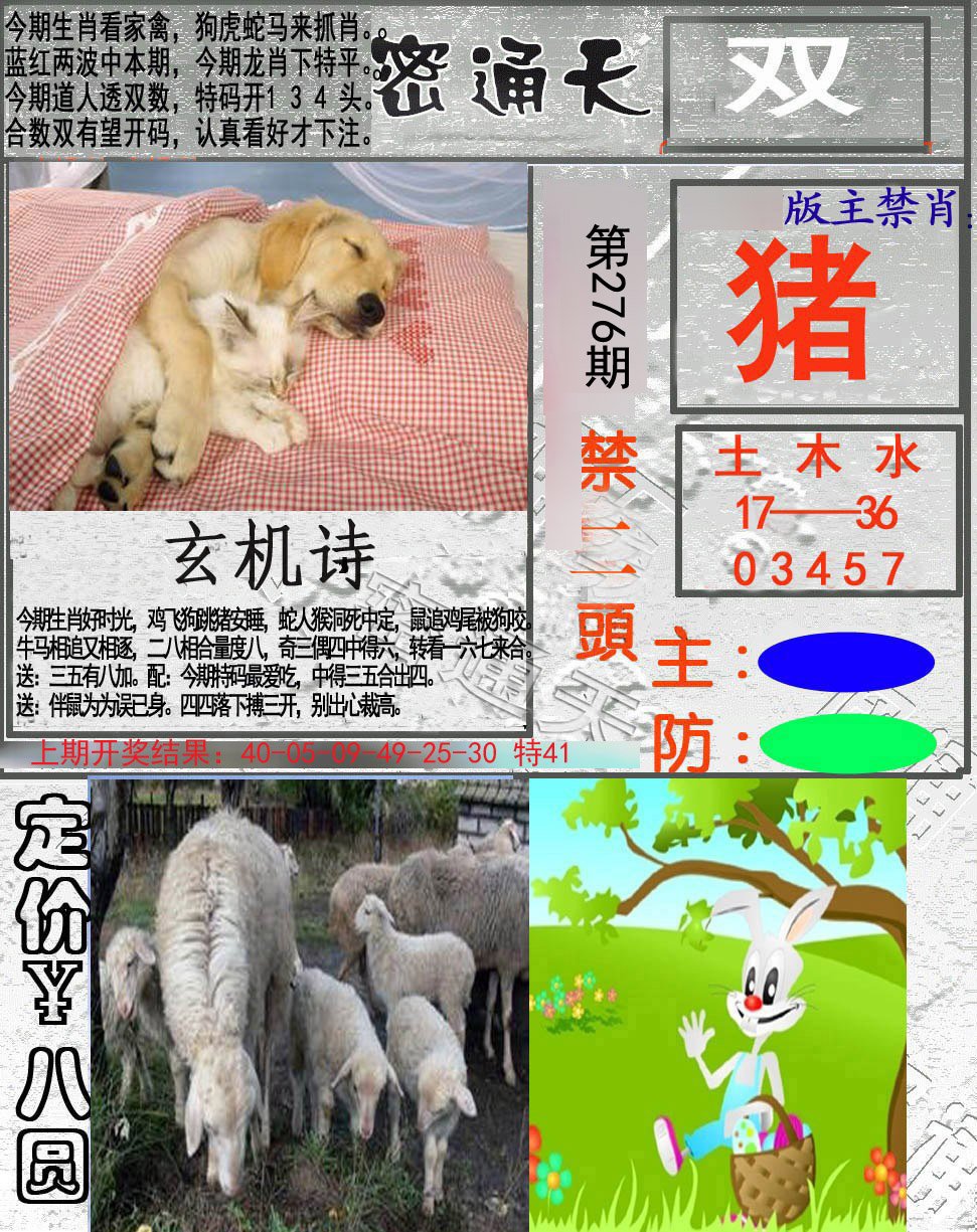 2024276期密通天