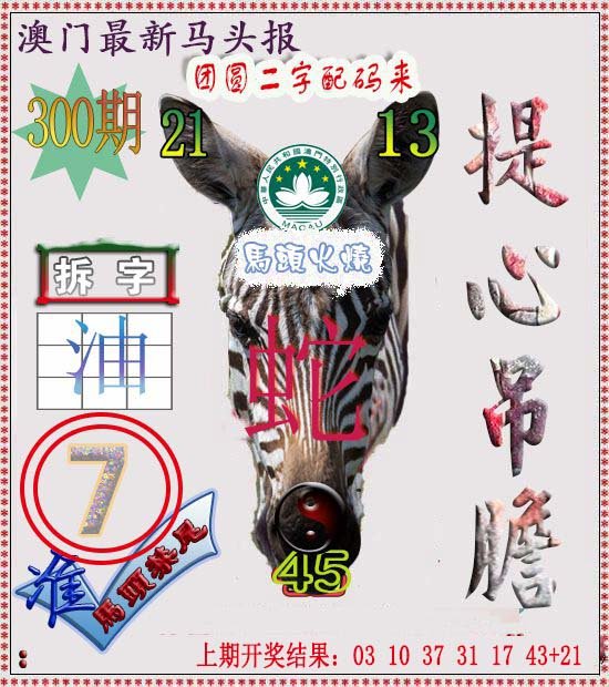 2024300期马头报