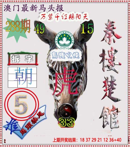 2024288期马头报