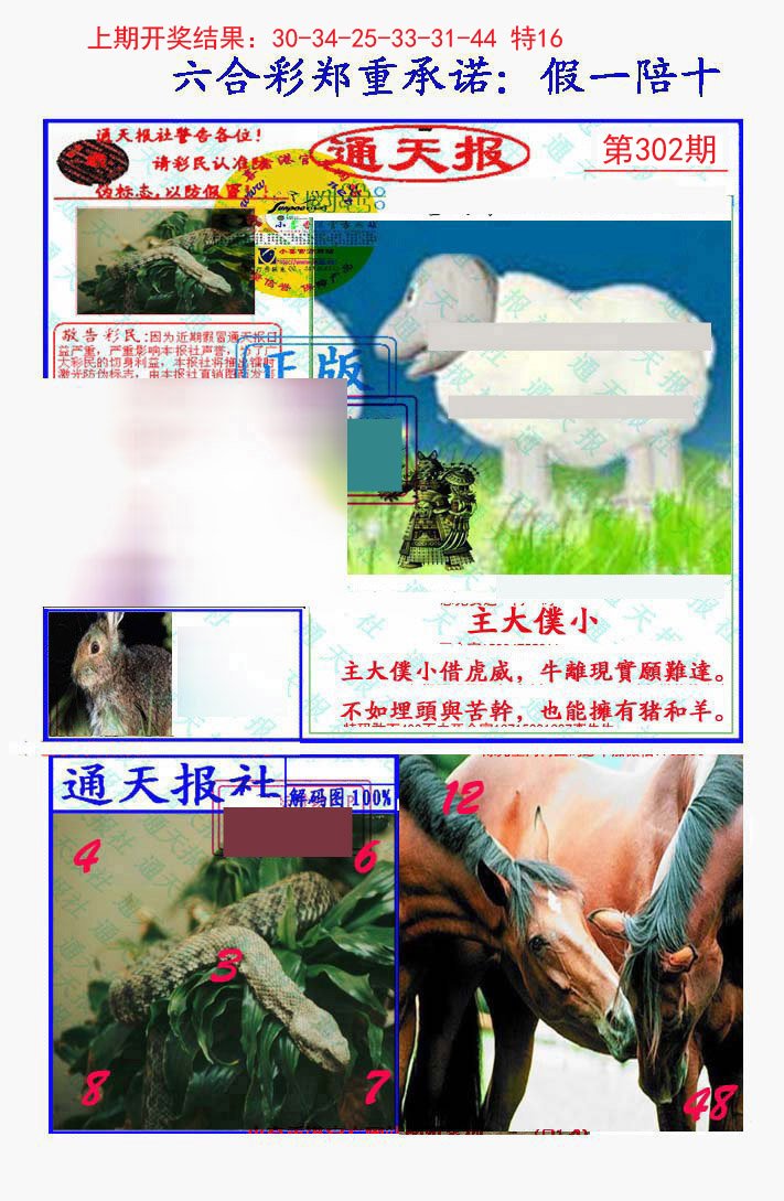 2024302期假一陪十通天报
