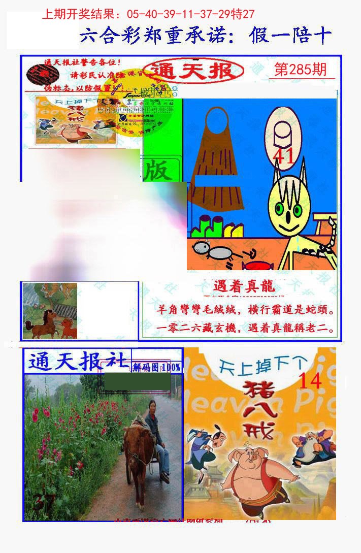 2024285期假一陪十通天报