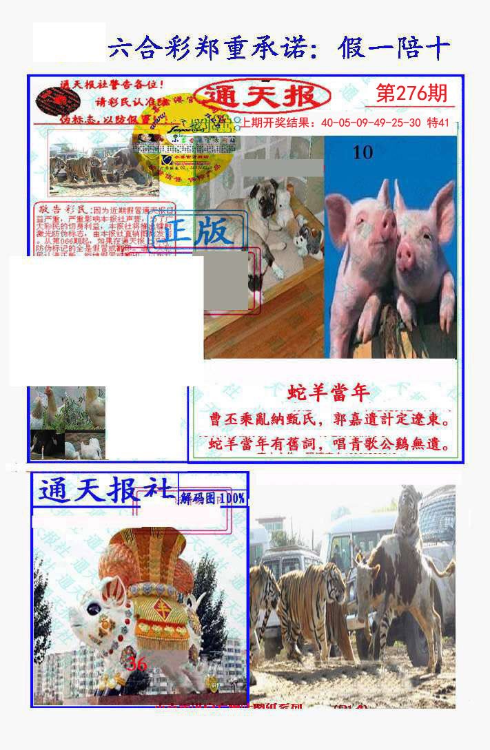 2024276期假一陪十通天报