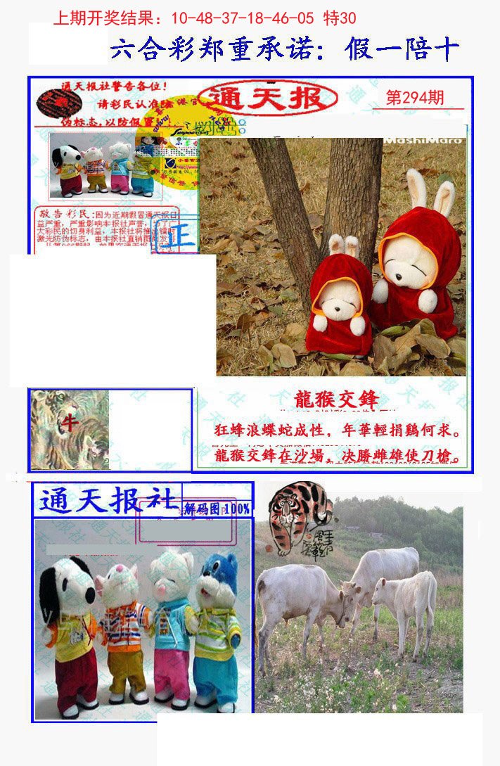 2024294期假一陪十通天报