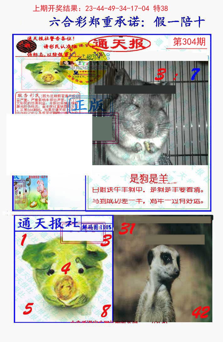2024304期假一陪十通天报