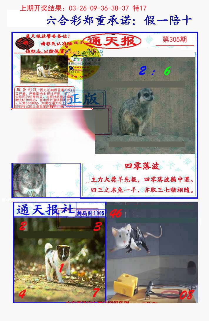 2024305期假一陪十通天报