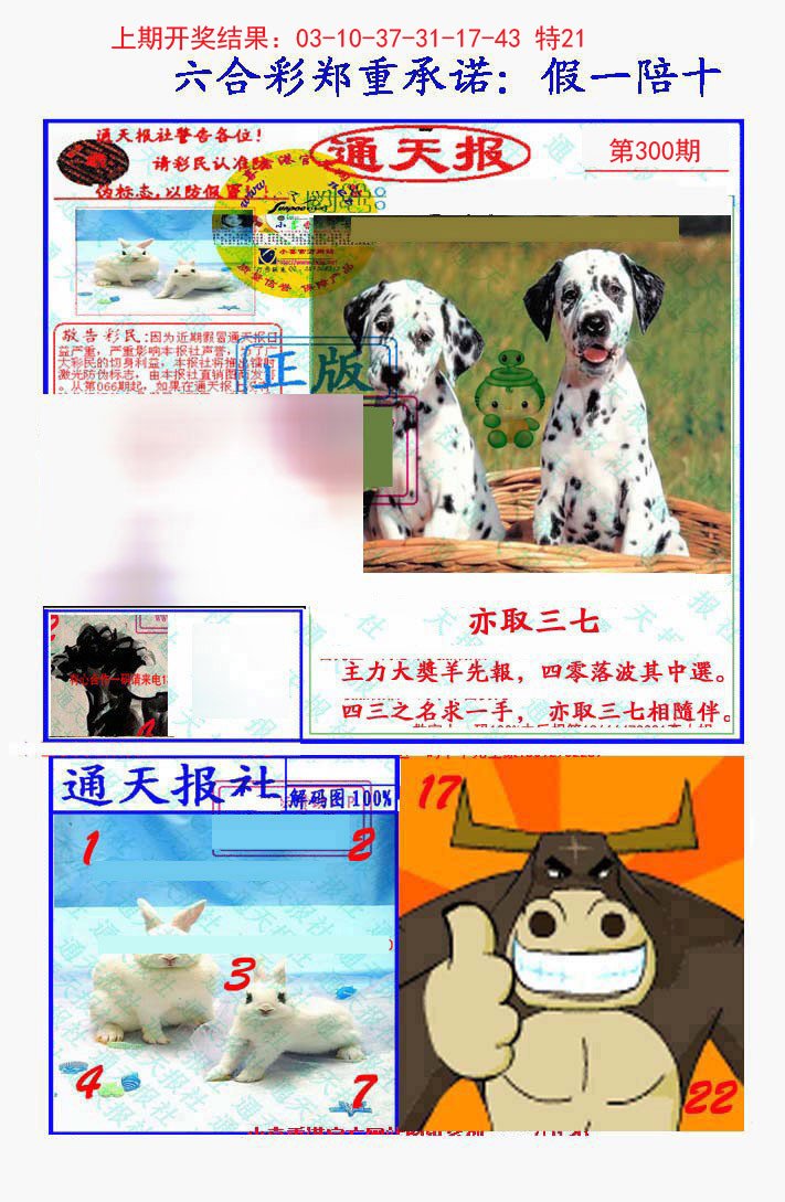 2024300期假一陪十通天报