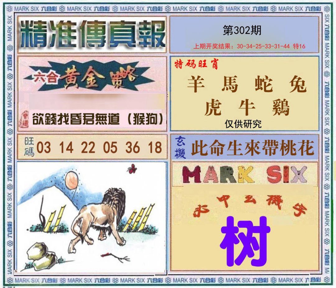 2024302期精准<傳真報>