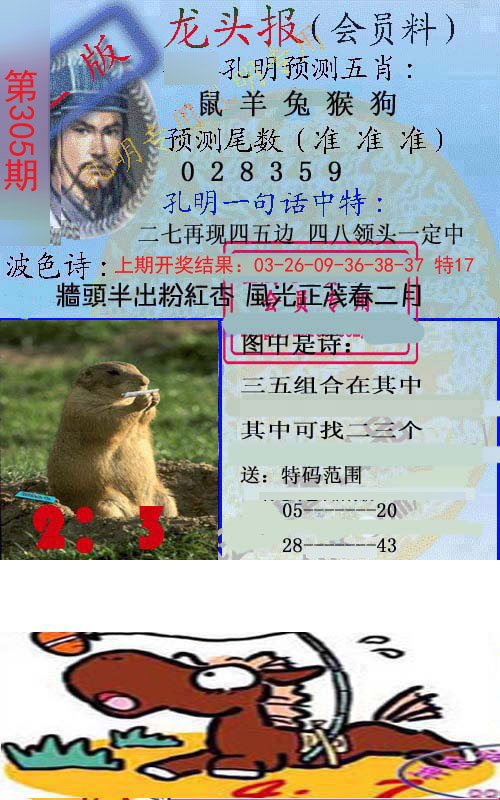 2024305期龙头报
