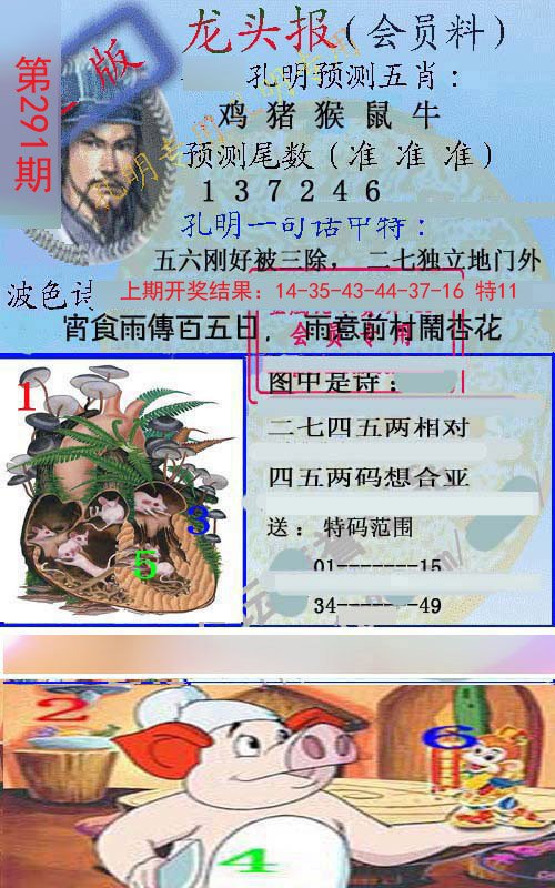 2024291期龙头报