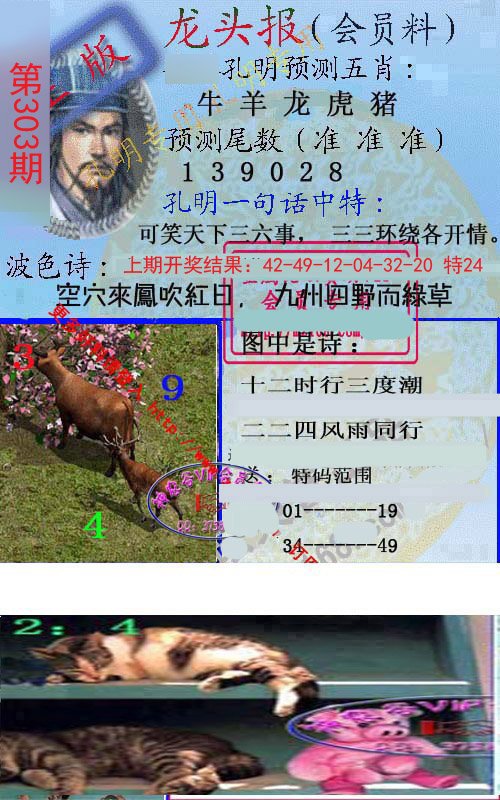 2024303期龙头报