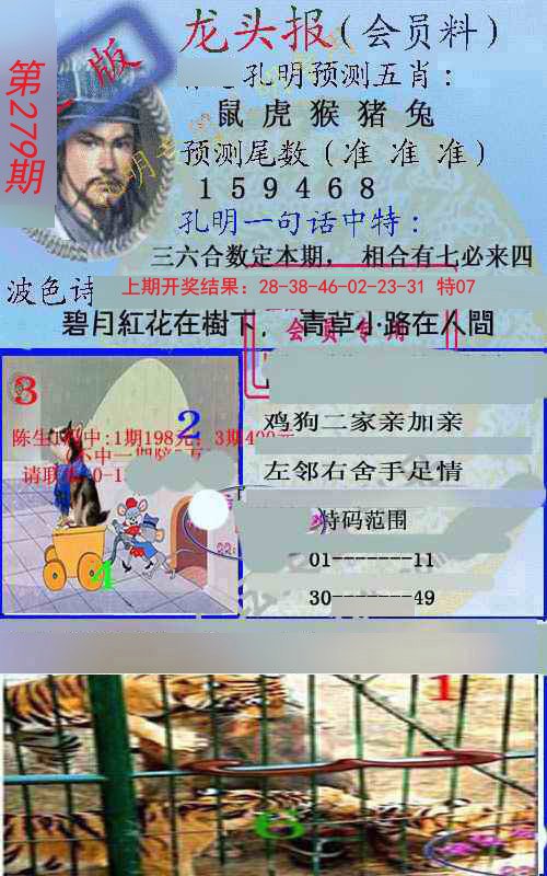 2024279期龙头报