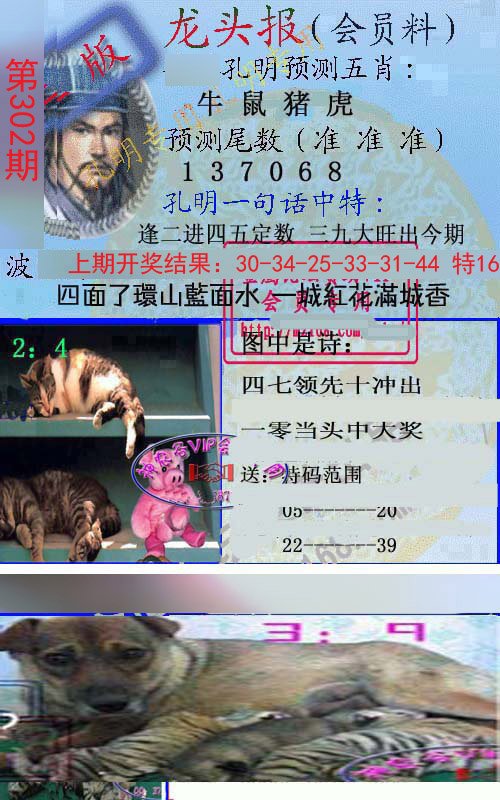 2024302期龙头报