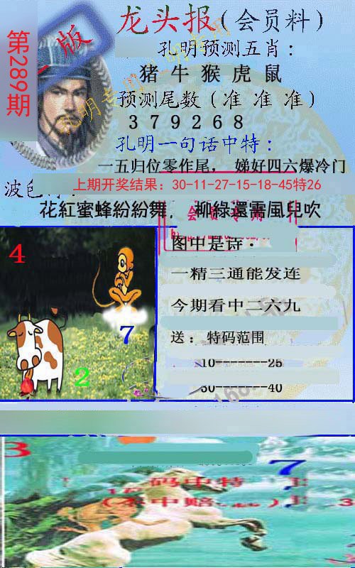 2024289期龙头报