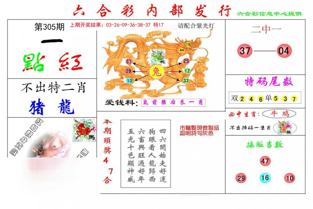 2024305期一点红