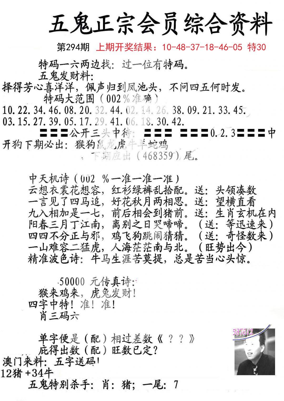 2024294期蛇报A