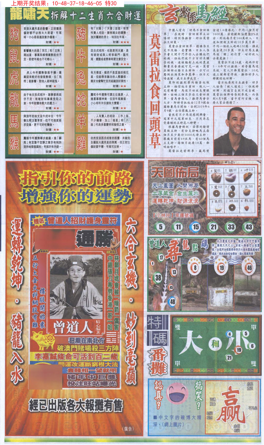 2024294期新报跑狗B
