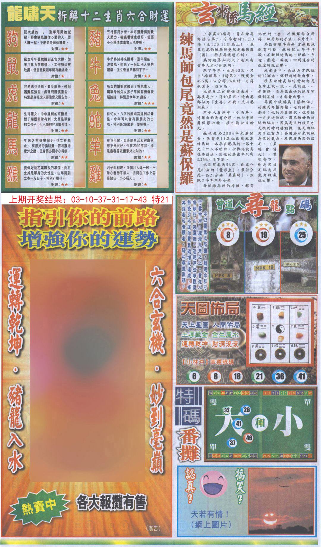 2024300期新报跑狗B