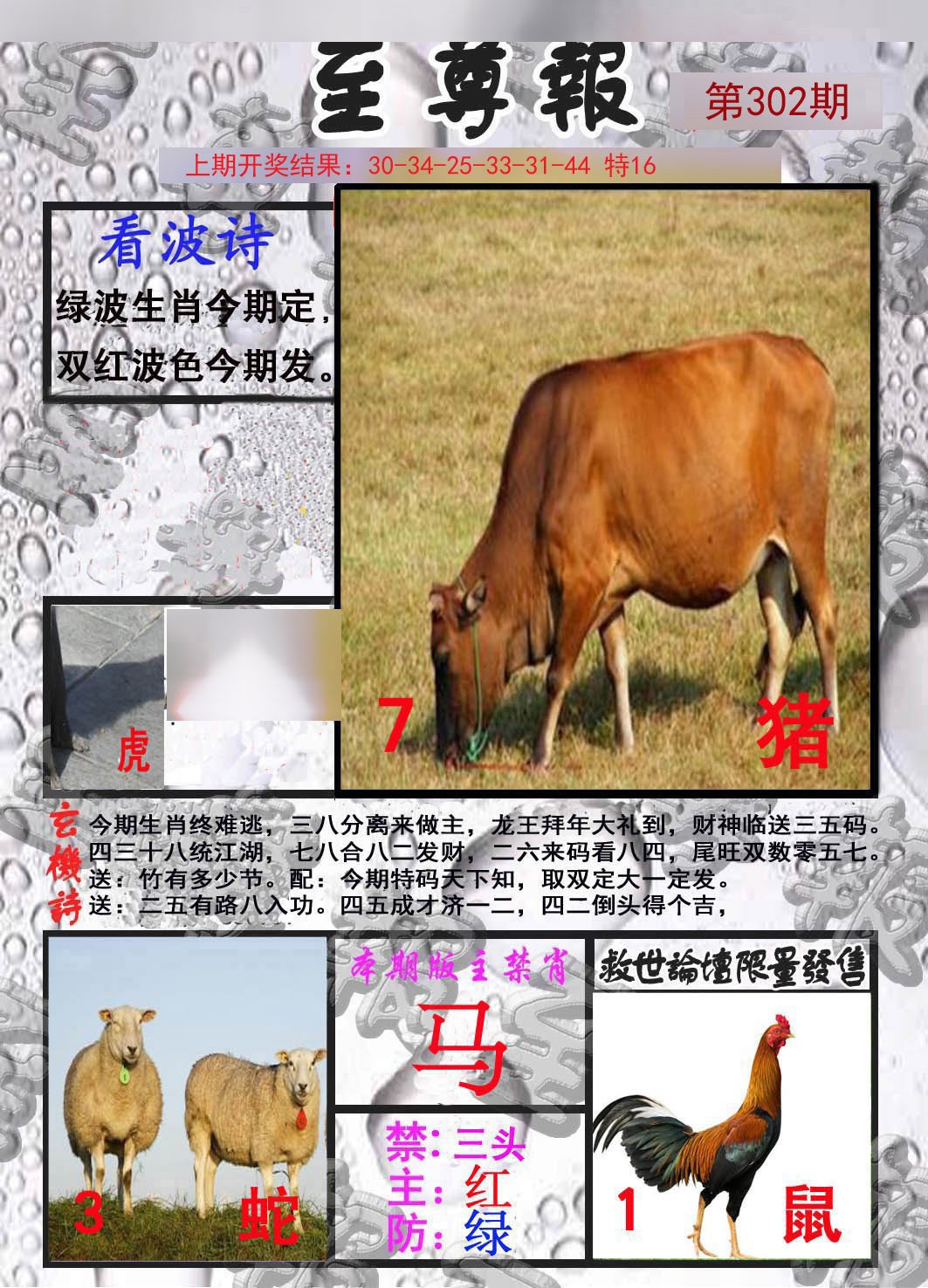 2024302期至尊报