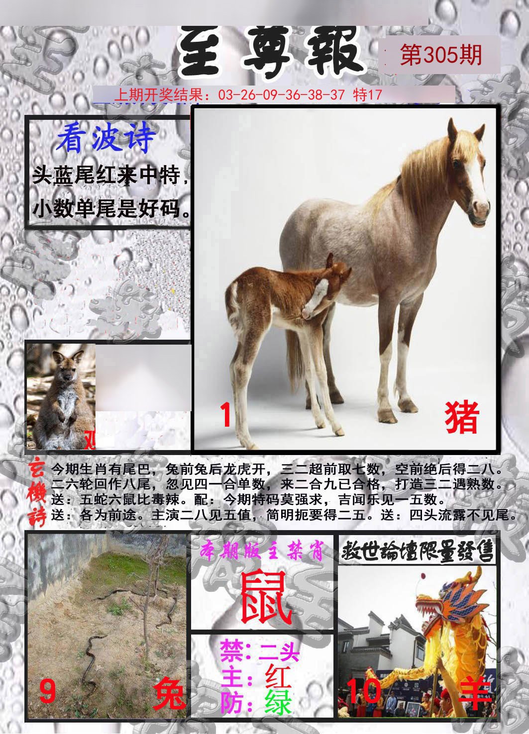 2024305期至尊报