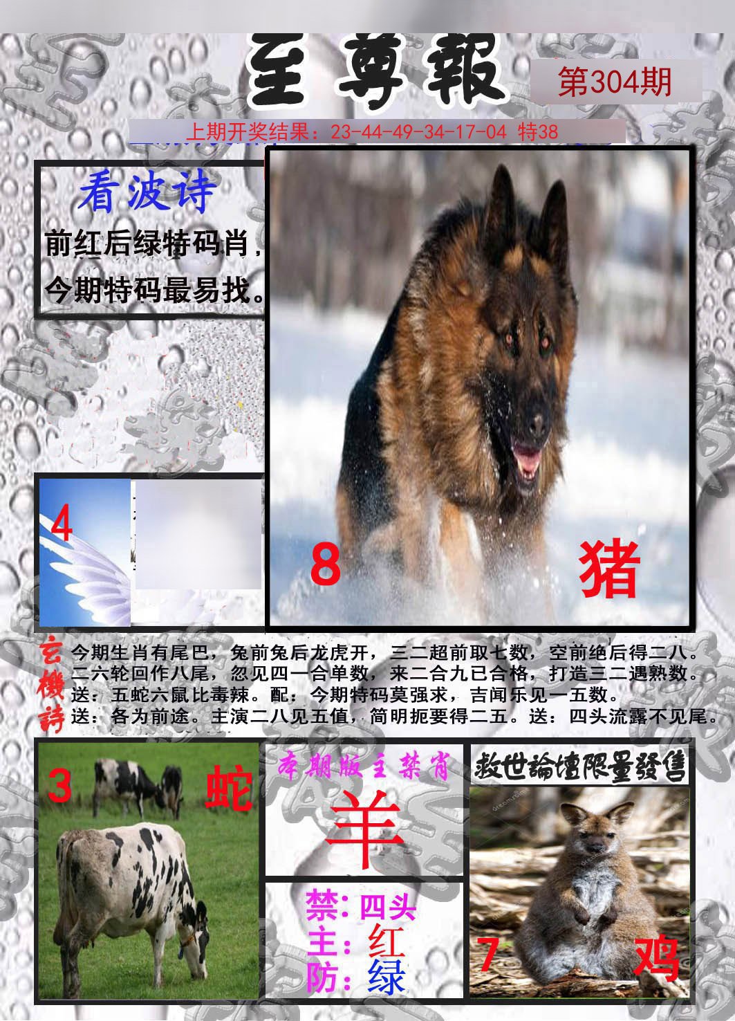 2024304期至尊报