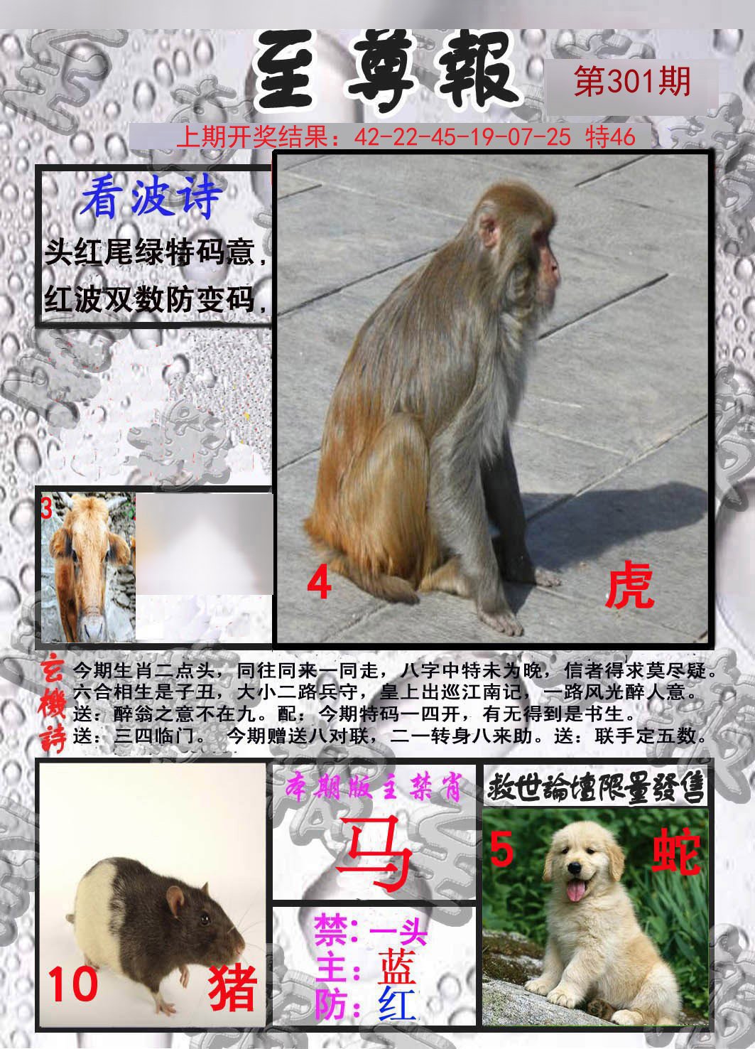 2024301期至尊报