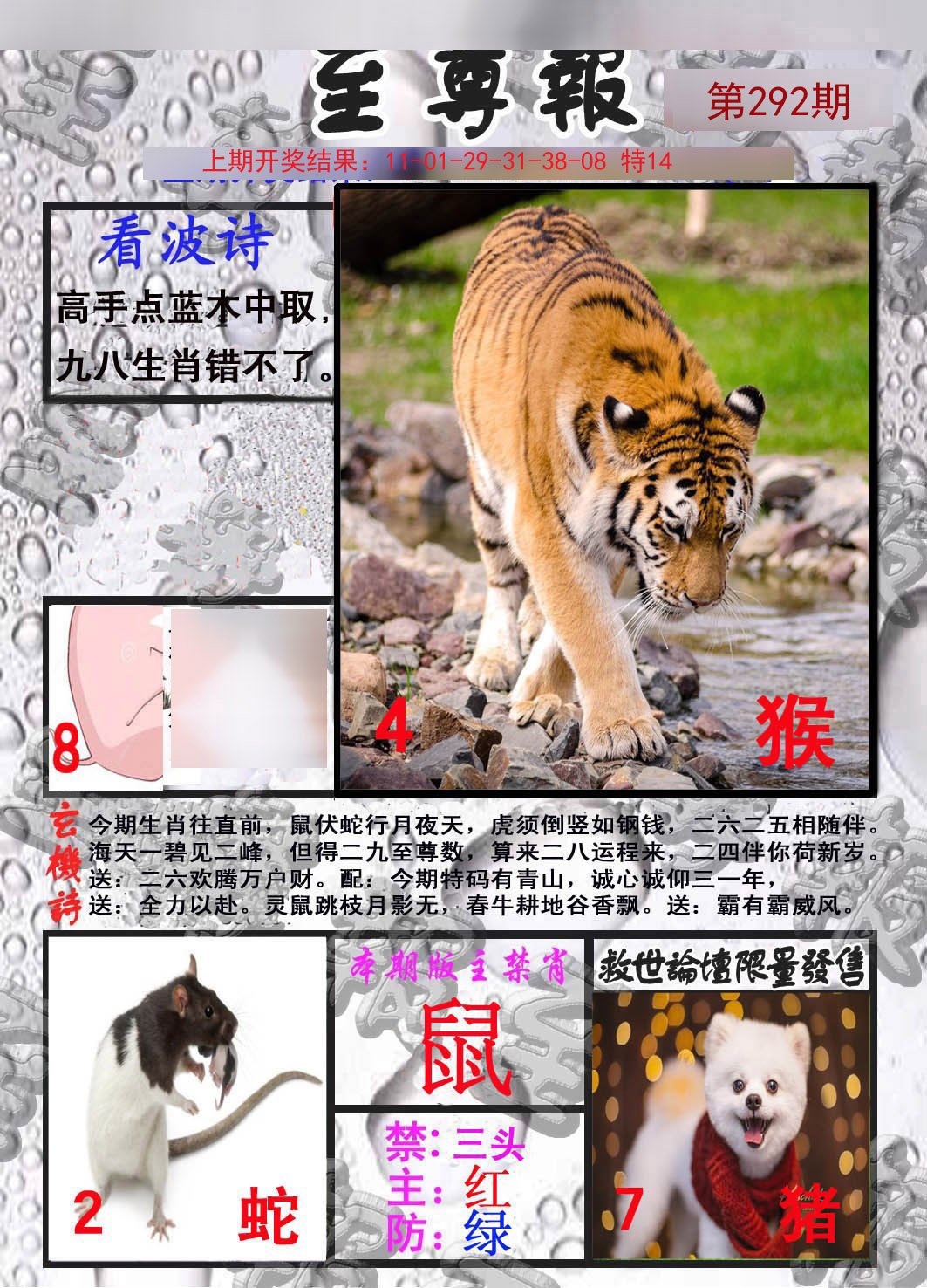 2024292期至尊报
