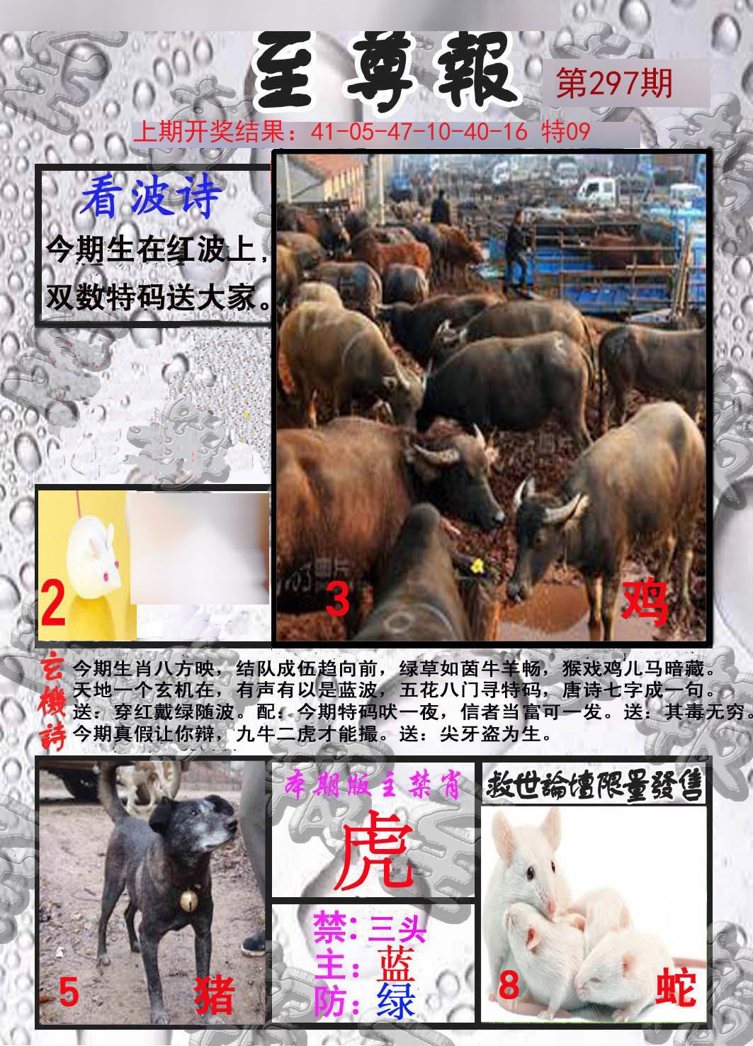 2024297期至尊报