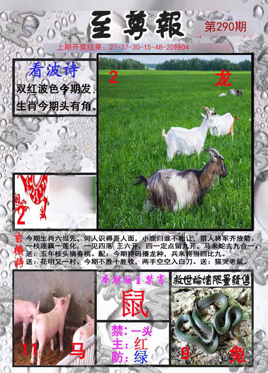 2024290期至尊报