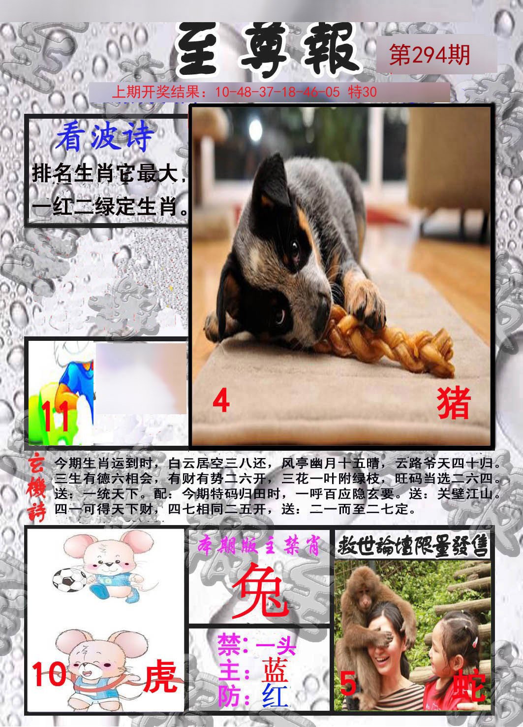2024294期至尊报