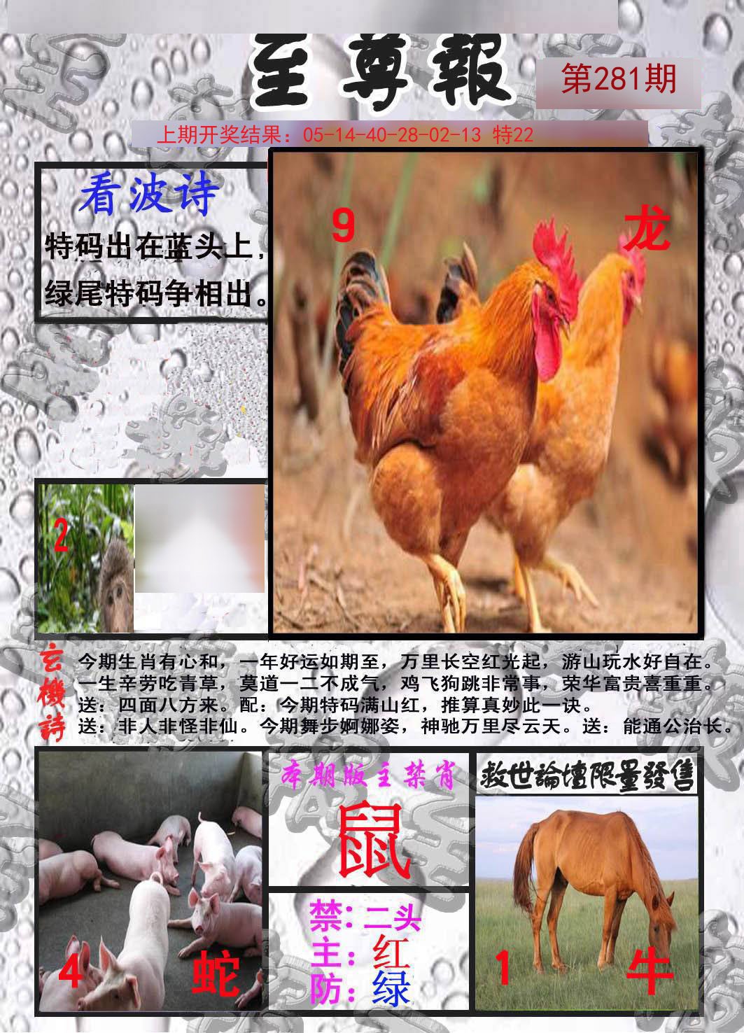 2024281期至尊报
