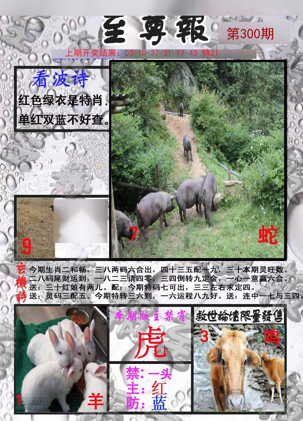 2024300期至尊报