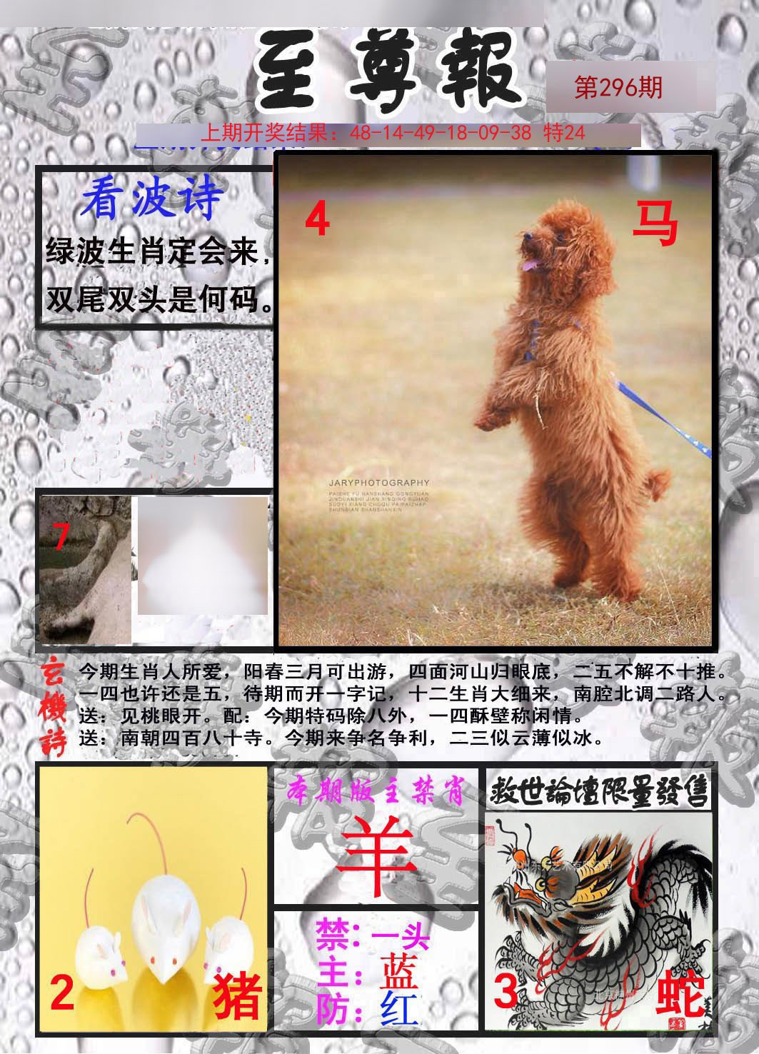2024296期至尊报