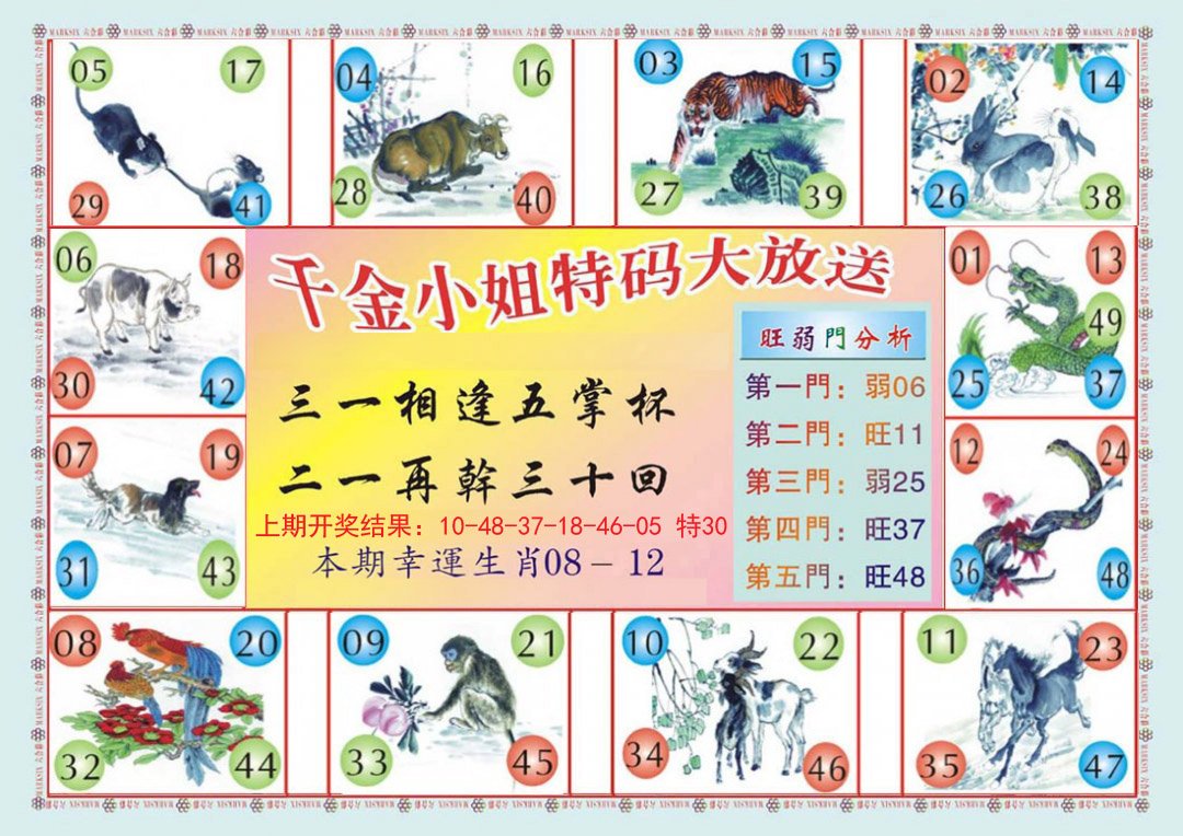 2024294期(新版)千金小姐B