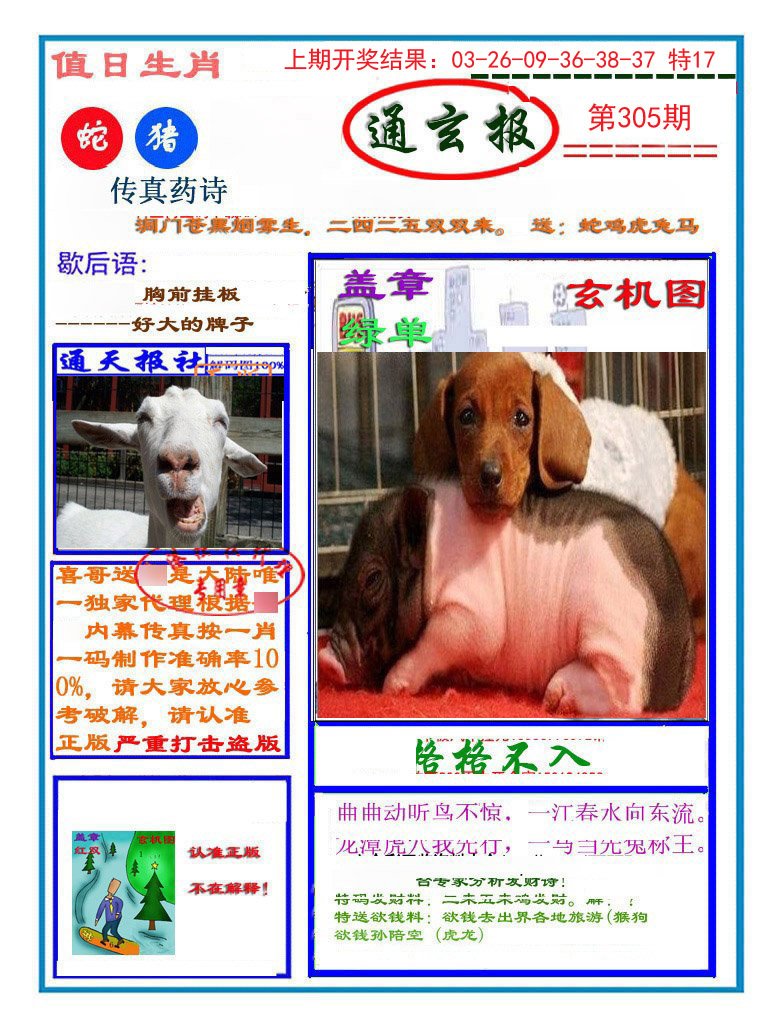 2024305期通玄报