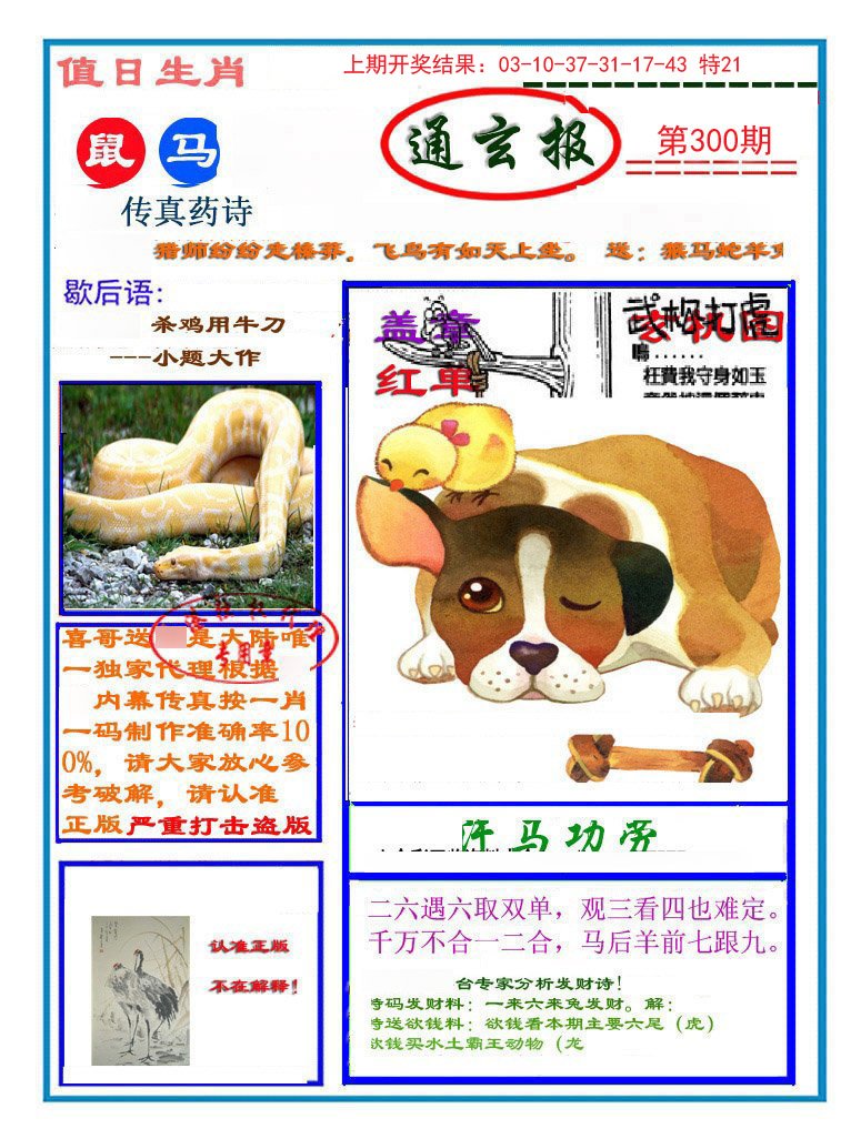 2024300期通玄报