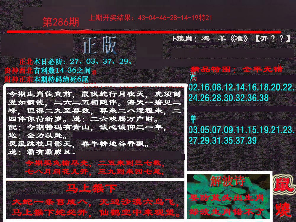2024286期新港内幕