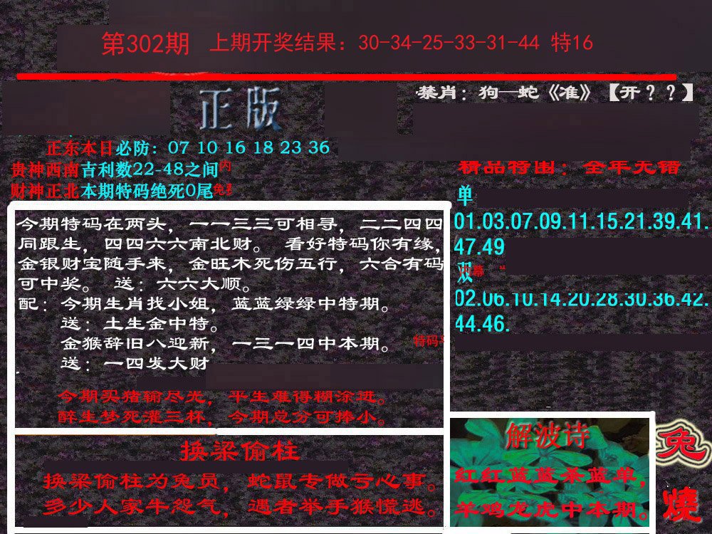 2024302期新港内幕