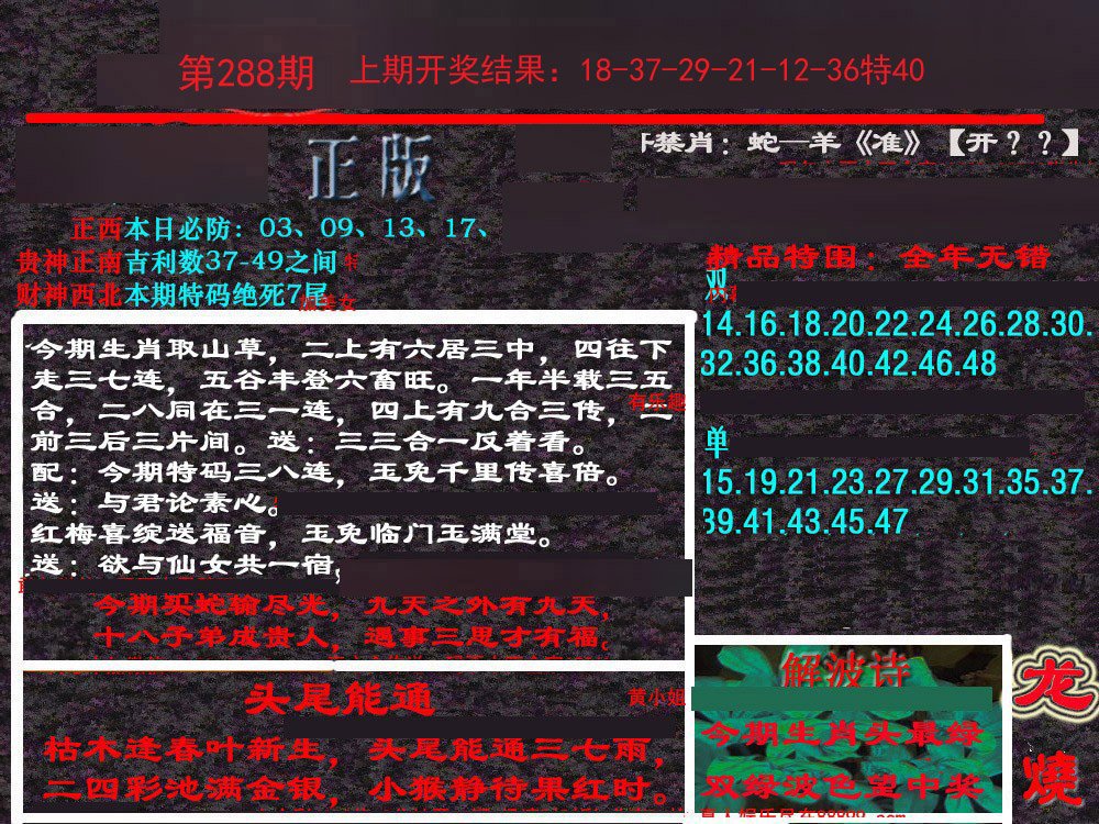 2024288期新港内幕