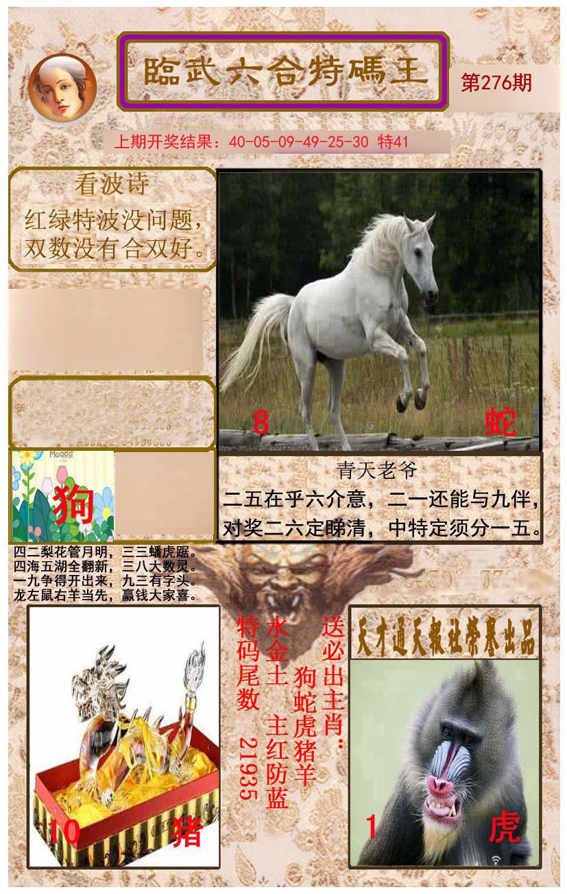 2024276期临武六合特码王