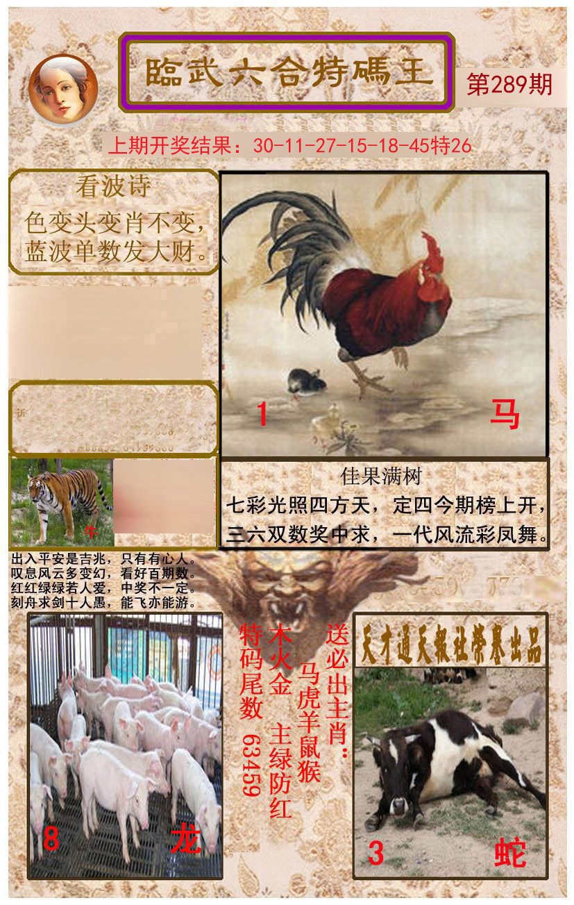 2024289期临武六合特码王
