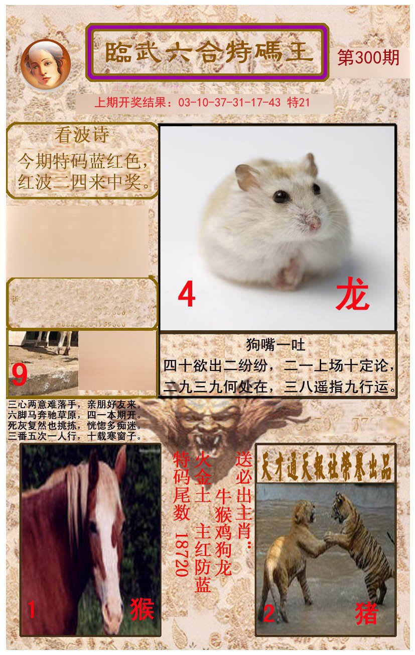 2024300期临武六合特码王