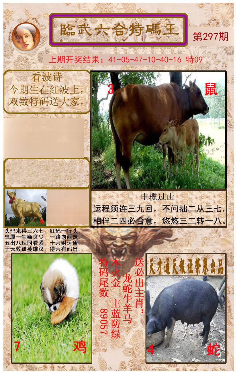 2024297期临武六合特码王