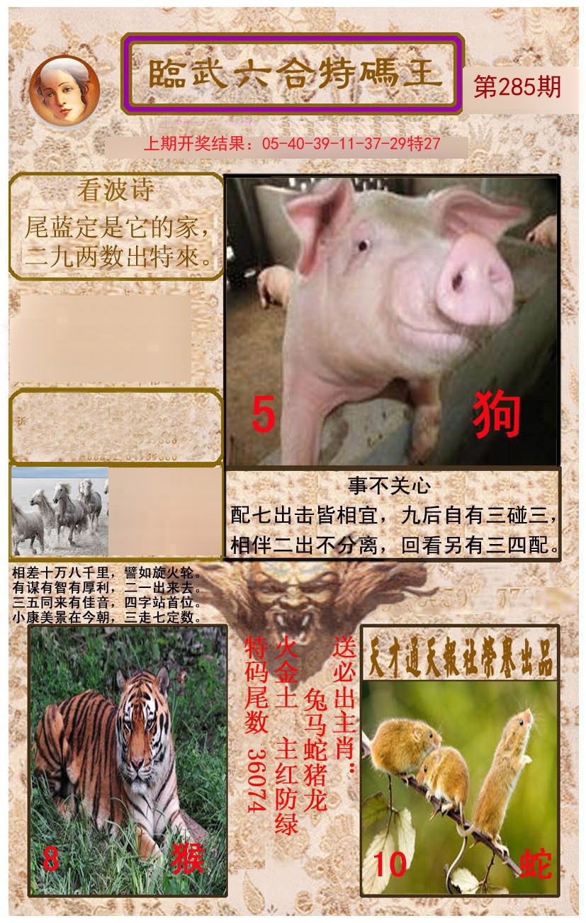 2024285期临武六合特码王