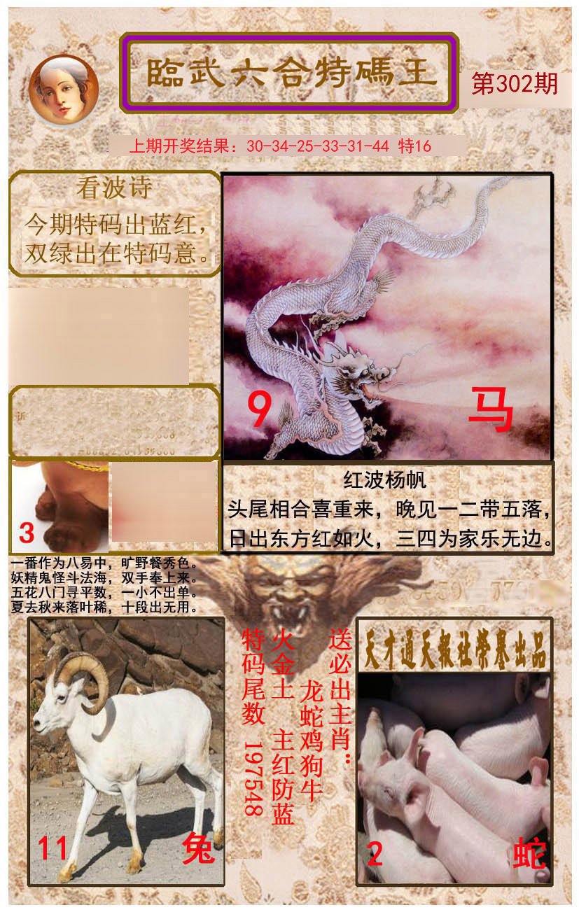 2024302期临武六合特码王