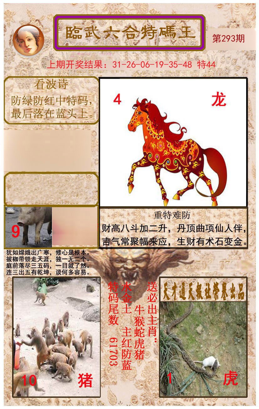 2024293期临武六合特码王
