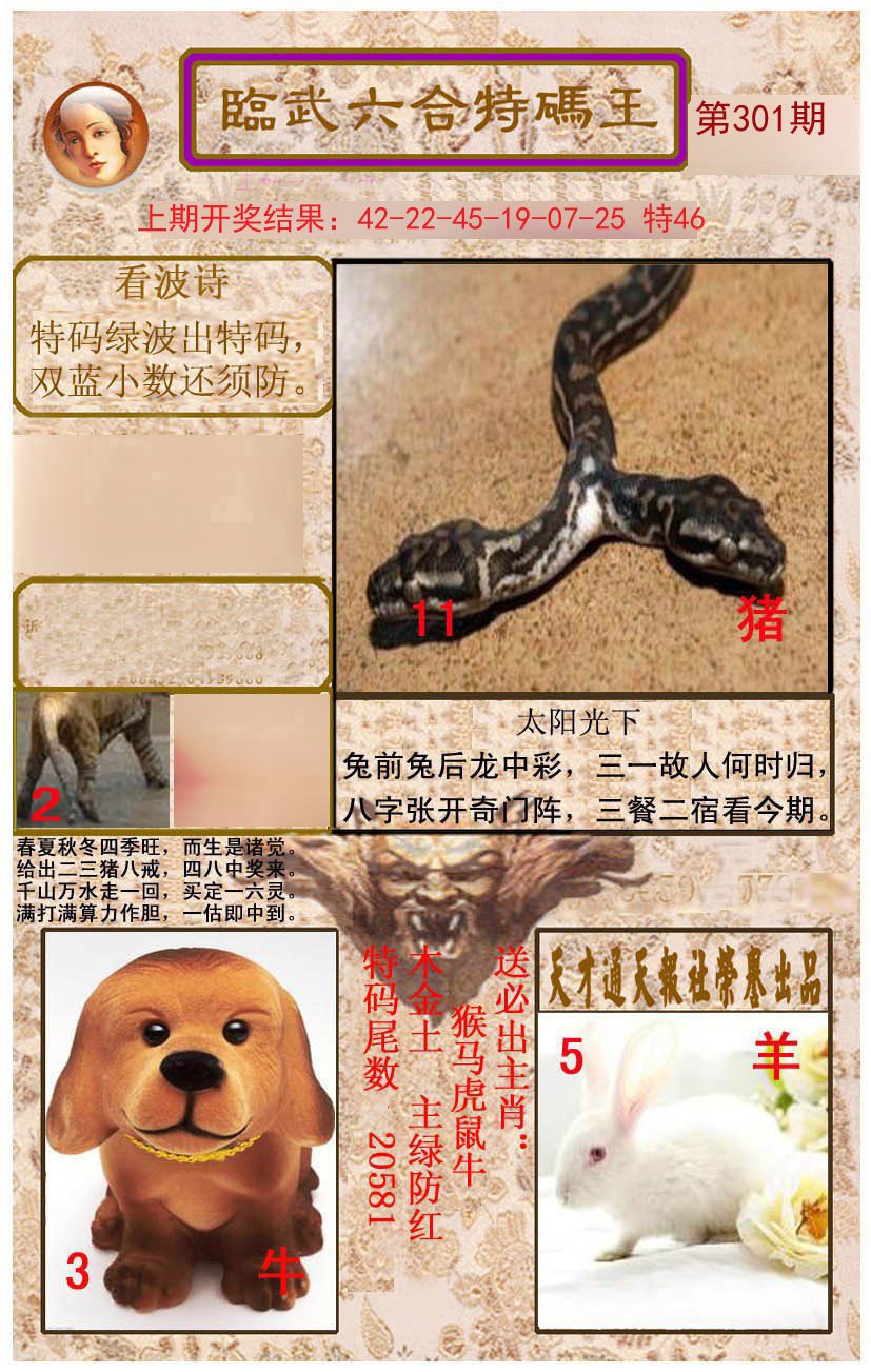 2024301期临武六合特码王