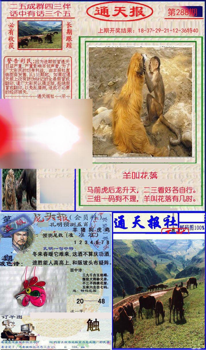 2024288期实力通天报